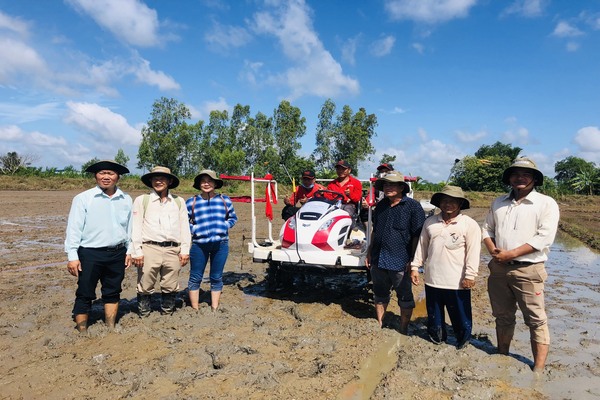 Cánh đồng thông minh